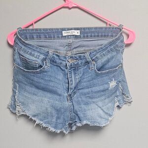 Hammer Men's Blue Shorts